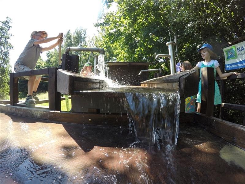 Natureum ist jetzt ein Kinderland Die Wasserspielanlagen sind bei den kleinen Gästen an heißen Tagen besonders beliebt. Foto: Sandelmann/Natureum