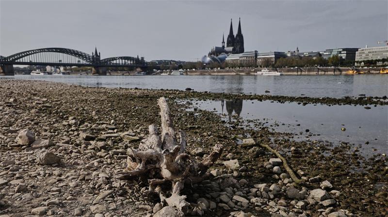 Die Wasserstände der Flüsse waren nach einer Auswertung des Science Media Center dieses Jahr extrem niedrig (Archivbild). 