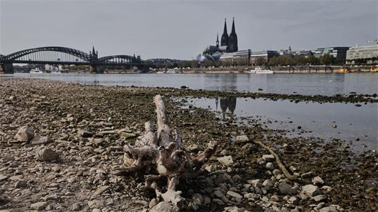 Die Wasserstände der Flüsse waren nach einer Auswertung des Science Media Center dieses Jahr extrem niedrig (Archivbild). 