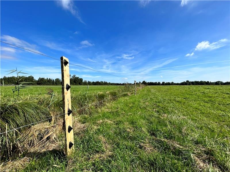 Die Weide ist eingezäunt. Foto: Klempow