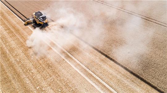 Die Weizenernte bereitet den Landwirten momentan Sorgen. Statt mit Trockenheit, wie auf dem Foto, müssen die Landwirte mit Nässe kämpfen.