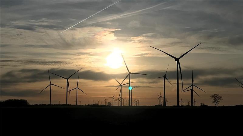 Die Windenergie beteiligt die Menschen, die mit ihr leben. Hier der Windpark Wischhafen.