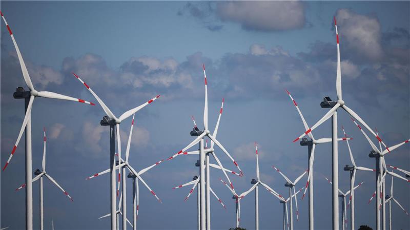 Die Windkraft war 2024 wichtigster erneuerbarer Energieträger in Schleswig-Holstein (Symbolbild).
