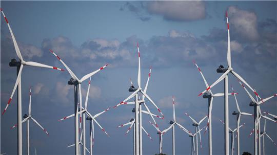 Die Windkraft war 2024 wichtigster erneuerbarer Energieträger in Schleswig-Holstein (Symbolbild).
