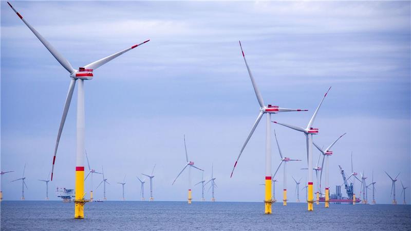 Die Windparks in der Ostsee produzierten nach Angaben des Netzbetreibers 50Hertz im vergangenen Jahr etwa zehn Prozent mehr Strom als im Jahr zuvor. (Archivbild)