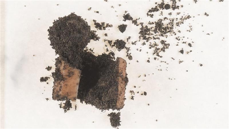 Hundehalter aufgepasst: Giftköder im Buxtehuder Stadtpark gefunden Die „Wurstköder“ wurden im Buxtehuder Stadtpark ausgelegt.