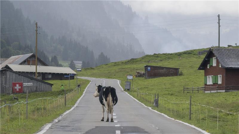 „Die Zahl der Deutschen mit Wohnsitz in der Schweiz steigt seit Jahren kontinuierlich“, berichtete die Statistikbehörde. Binnen zehn Jahren erhöhte sich die Zahl der Deutschen in der Schweiz um 10,7 Prozent. (Archivfoto)