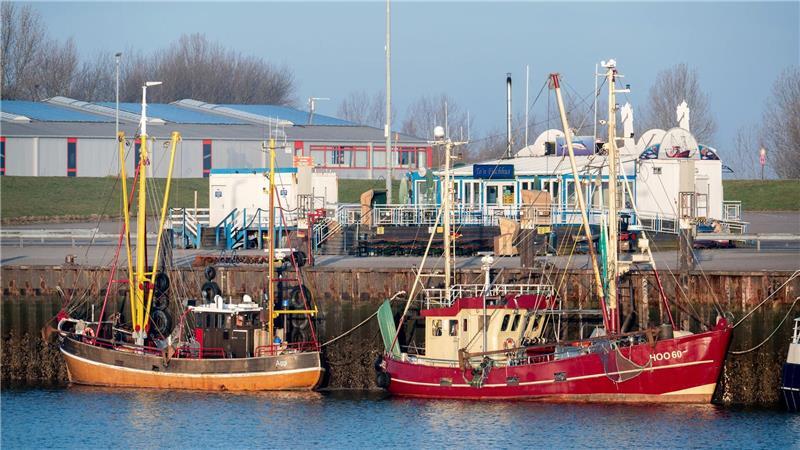 Die Zahl der Küstenfischereibetriebe lag 2024 bei rund 600. (Archivbild)