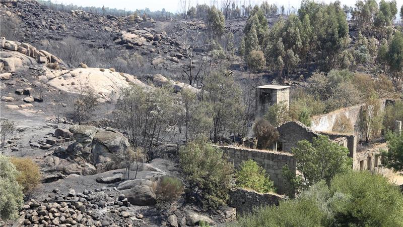 Bereits vier Tote bei Waldbränden in Portugal Die Zahl der Todesopfer der verheerenden Waldbrände ist in Portugal gestiegen. Historische Dörfer mussten evakuiert werden.