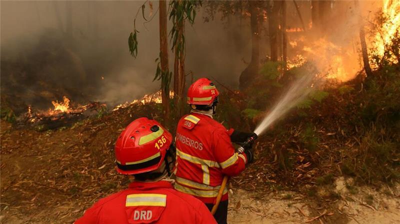 Höchste Alarmstufe beim Zustand des Weltklimas Die Zahl der Waldbrände wächst mit dem Klimawandel (Archivbild)