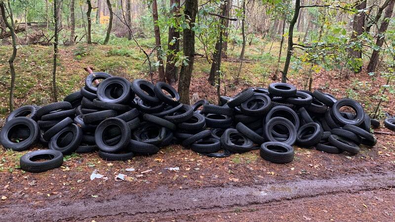 Riesige Altreifenhaufen in Wald gekippt Die Zahl der entsorgten Pkw-Reifen dürfte im dreistelligen Bereich liegen.