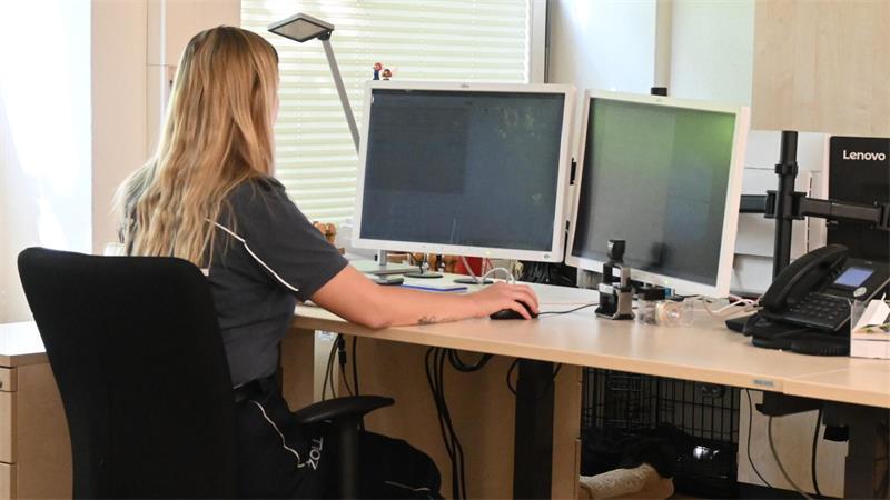 Bengalische Tiger und Mini-Rinder: Das macht der Zoll in Stade Die Zollbeamten in Stade erledigen vieles mittlerweile digital im Büro. Nicht jeder Lkw mit Exportwaren muss zum Zollamt zur Kontrolle.