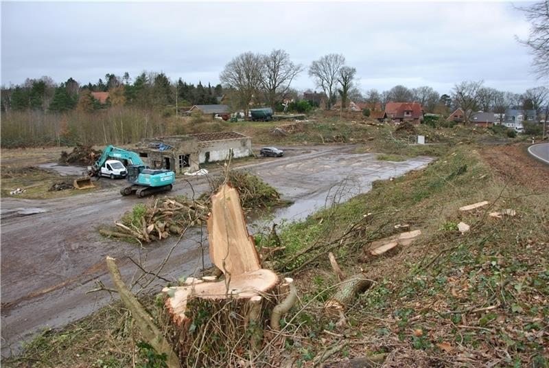 Die alten Baracken auf dem Gelände der ehemaligen Sandgrube am Sandbarg werden abgerissen. Auch viele Bäume wurden abgeholzt. Foto: Lohmann