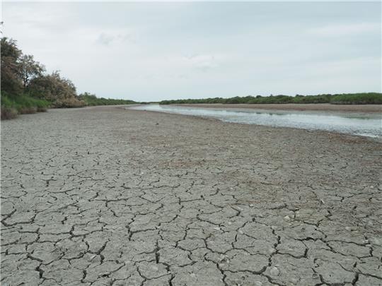 Die anhaltende Trockenheit hinterlässt ihre Spuren - in Frankreich wird das Wasser knapp.