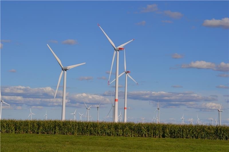Die beiden Senvion-Anlagen (mit roter Markierung) des Betreibers Energiekontor im Windpark Oederquart machen seit mehr als zwei Jahren Ärger.