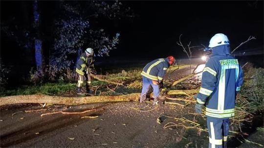 Die beiden Sturmtiefs „Luise“ und „Manja“ sorgten am Wochenende für zahlreiche Feuerwehreinsätze, wie hier für Einsatzkräfte aus Bülkau.