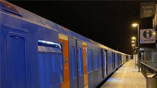 Die beschmierte S-Bahn kann mutmaßlich zunächst nicht mehr eingesetzt werden.
