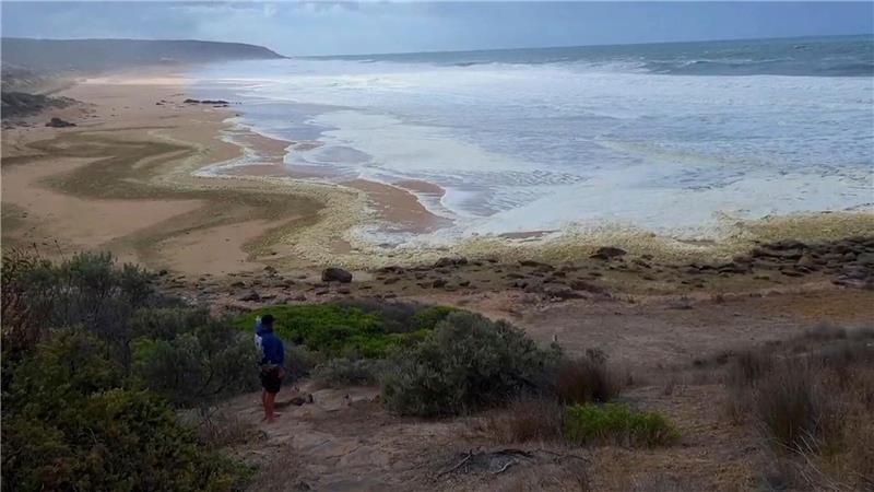 Gelber Schaum und kranke Surfer: Algenblüte in Australien? Die betroffenen Strände wurden zunächst gesperrt.
