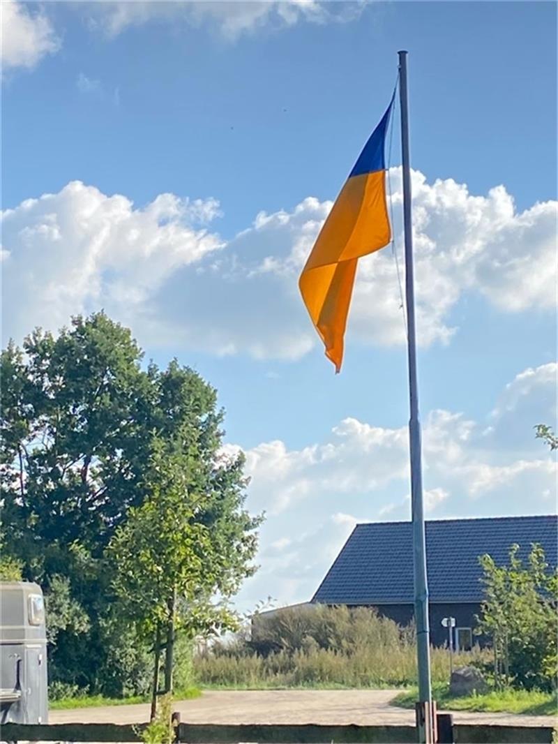Die blau-gelbe Flagge des Reitvereins. Foto: Verein