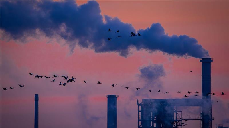 Die deutsche Industrie hat 2025 Umsatz eingebüßt (Archivbild)