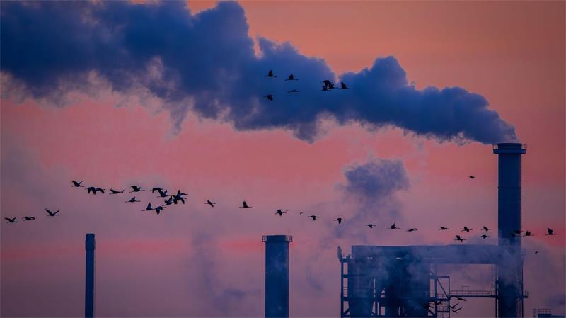 Die deutsche Industrie hat im Juli überraschend viele Aufträge bekommen (Archivbild)