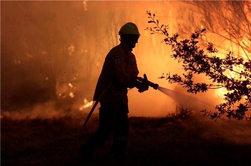 Waldbrandgefahr im Kreis Stade: Feuerwehren proben den Ernstfall Die deutschen Feuerwehrleute lernen von den Kollegen aus Portugal. Die Südeuropäer sind in Sachen Taktik und Struktur bei der Bekämpfung von Waldbränden schon weiter. Foto: dpa