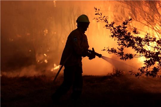 Die deutschen Feuerwehrleute lernen von den Kollegen aus Portugal. Die Südeuropäer sind in Sachen Taktik und Struktur bei der Bekämpfung von Waldbränden schon weiter. Foto: dpa