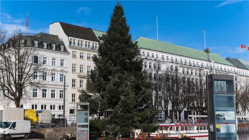 Die diesjährige Alstertanne ist an der Binnenalster angekommen. 