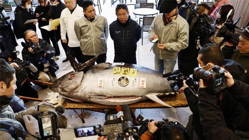 Erste Thunfisch-Auktion in Japan 2025 erzielt hohen Preis Die erste Auktion eines Thunfisches im Neuen Jahr gilt vielen in Japan als Gradmesser für Glück und Wohlstand.