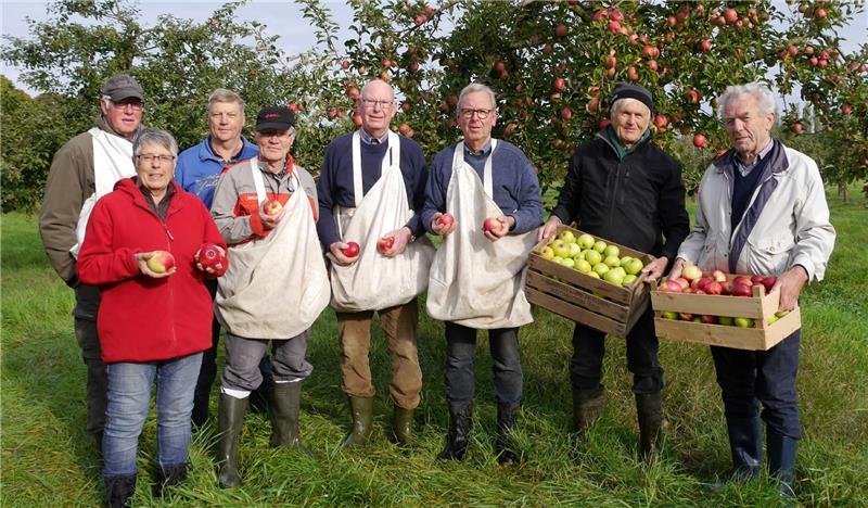 Die fleißigen Pflücker Willi Wist, Heike Pehlke, Gerhard Klefke, Uve Engelhardt, Dieter Meyer, Hans-Wilhelm Bösch, Helmut Licht und Ewald Meyer (von links) vom Verein „Kehdinger Appelhoff“. Fotos Umland