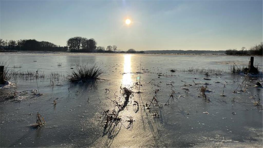 Die gefrorenen Schwingewiesen zwischen Thun und Wiepenkathen hat Kornelia Wilken...