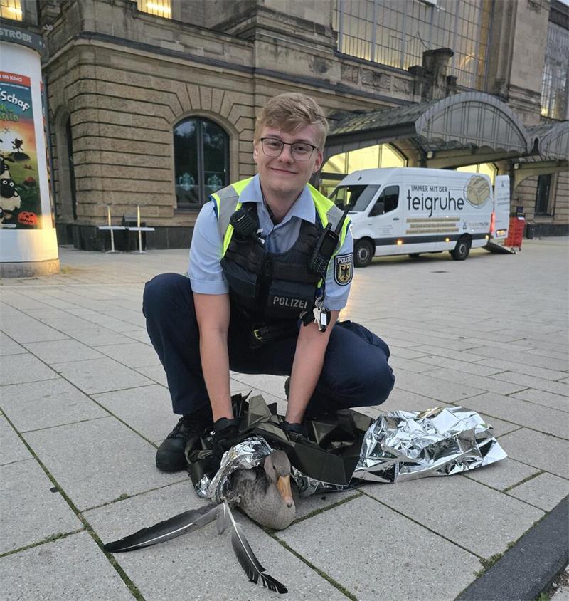 Die gerettete Graugans am Bahnhof Dammtor.