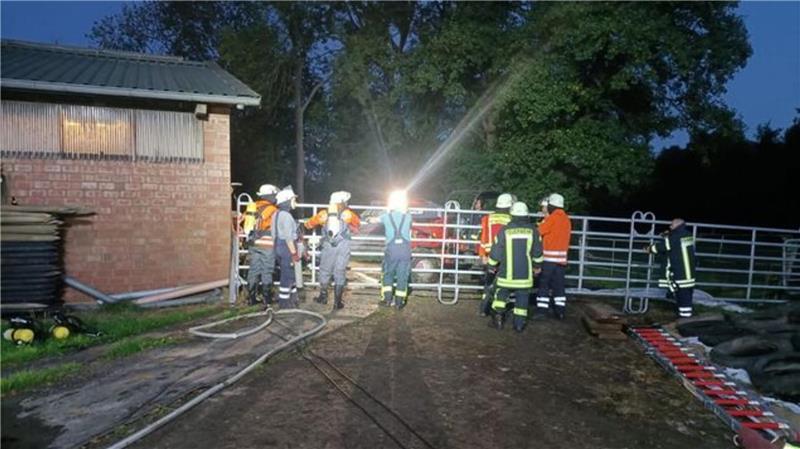 Vier Kühe fallen in Hemmoor in Güllekeller: Feuerwehr mit Hoflader im Einsatz Feuerwehrkräfte neben einem Stall in Hemmoor-Basbeck