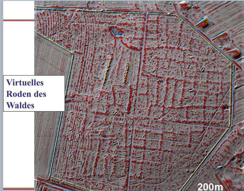 Die gleiche Fläche ohne Wald: das digitale Geländemodell zeigt das Muster der Dämme an den Celtic Fields.
