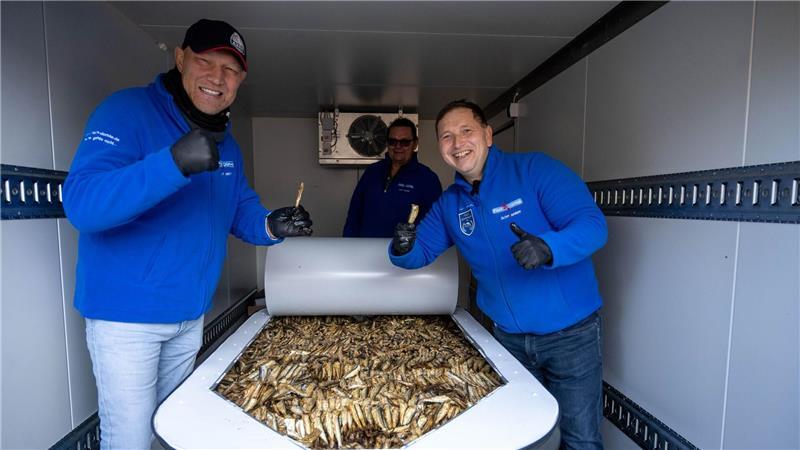 Die größte Fischkonserve der Welt ist nach Angaben des Rekord-Instituts für Deutschland (RID) 1,94 Meter lang, 1,03 Meter breit und 31 Zentimeter hoch.