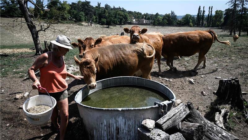 Trockenheit: Wenn das Wasser knapp wird Die große Trockenheit macht in Frankreich insbesondere den Landwirten zu schaffen.