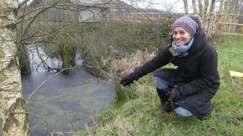 Die grünen Fitzelchen in der gefrorenen Wasseroberfläche sind wertvolle Torfmoose. Sie zeigen, dass auf etlichen bereits wiedervernässten Flächen im Aschhorner Moor die Neubildung von Moor bereits eingesetzt hat, erläutert Petra Riemann von der Wildtierstiftung, die die Flächen des Aschhorner Moors gekauft hat.