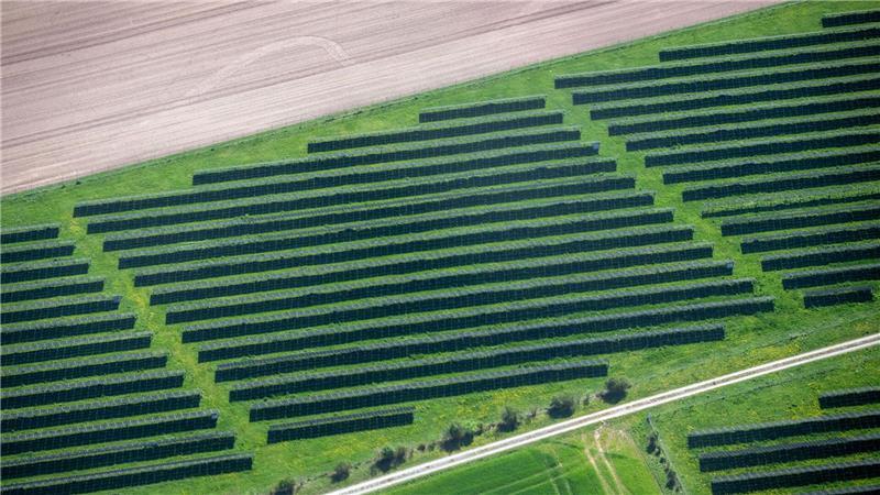 Sonnenstrom-Erzeugung beliebt - Schon fünf Millionen Anlagen Die gut 19.000 Freiflächenanlagen haben oft eine hohe Leistung. (Archivbild)