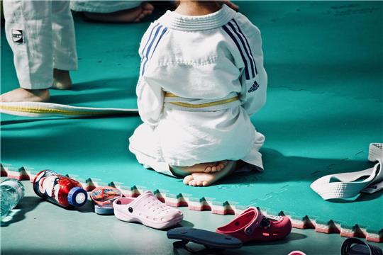 Die jungen Judoka aus Stade waren in Lüneburg erfolgreich (Symbolbild). Foto: Luisella Planeta / Pixabay