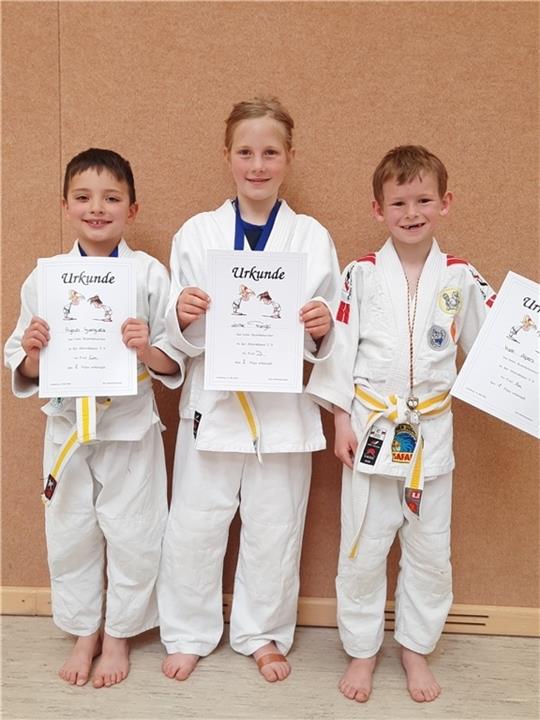 Die jungen Judoka des VfL Stade stolz mit ihren Urkunden.