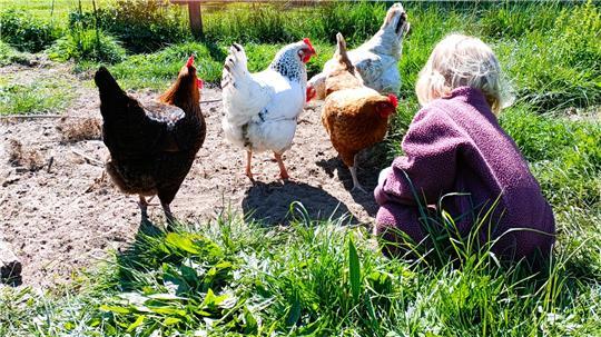 Die kleine Emmi verteilt Naschis in Form von Mehlwürmern an die Vierer-Gang Bärbel, Grete, Cordula und Käthe.