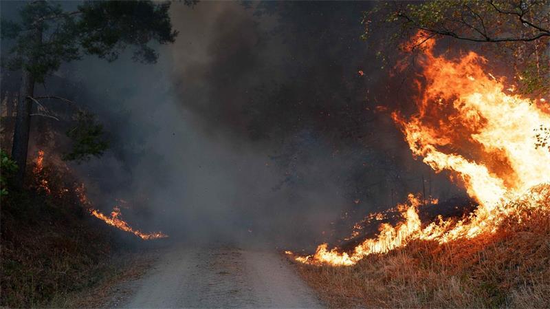 Die lange Trockenheit erhöht das Waldbrandrisiko.