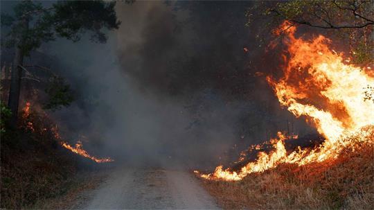 Die lange Trockenheit erhöht das Waldbrandrisiko.