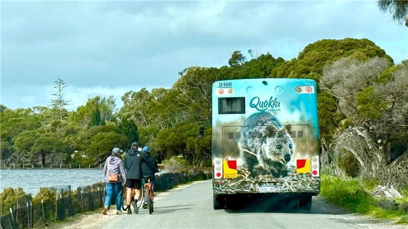 Die meisten Touristen auf Rottnest Island fahren Fahrrad - oder mit dem Quokka-Bus.