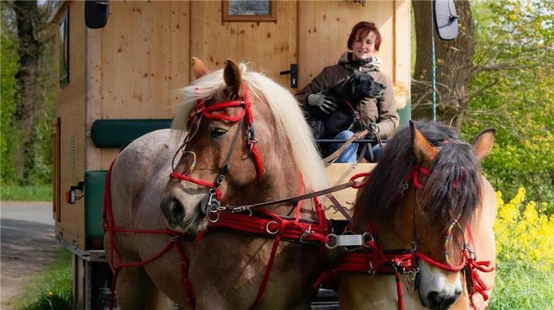 Moderne „Landstreicherin“: Minimalistisches Leben in der Kutsche Die moderne Nomadin Wencke Bellmann erlebt mit ihren Kaltblütern Lümmel und Elektra sowie Hündin Luna abenteuerliche Zeiten bei ihrer Tour mit dem Mini-Haus auf Rädern.