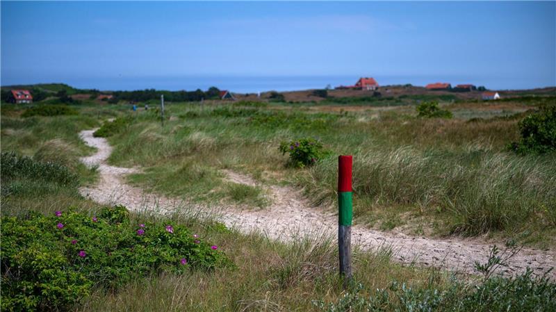 Die neue Abzweigung der Pferdebahn führt rund 900 Meter bis fast zum Zeltplatz im Südwesten der Insel. Durch eine Streckenverlängerung will die Nordseeinsel Spiekeroog ihre traditionsreiche Pferdebahn langfristig erhalten. (Archivbild)