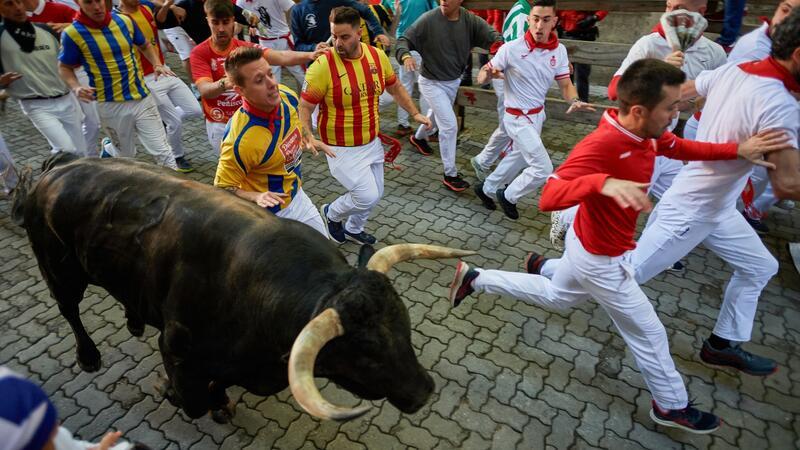Verletzte Menschen und Tiere bei Stierhatz in Pamplona Die schlimmsten Verletzungen gibt es in der Regel durch die spitzen und langen Hörner der Bullen. Das kommt jedoch eher selten vor. Die meisten Läufer ziehen sich Prellungen zu, wenn sie bei der wilden Jagd übereinander fallen.