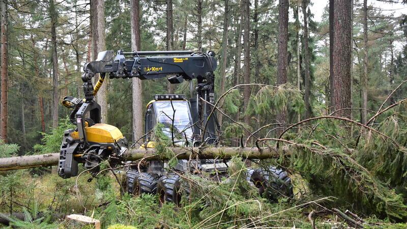 Brennholz bleibt teuer: Wie es um das Holzgeschäft in der Region steht Die schweren Maschinen brauchen im Wald einen tragfähigen Boden.