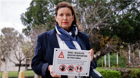 Die tödliche Virusvariante der Vogelgrippe hat das australische Festland erreicht. 