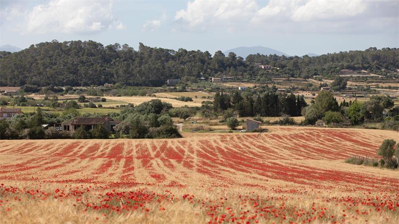 Zwei Abende an einem Tag: Sonnenfinsternis in Europa Die totale Sonnenfinsternis ist in Spanien vor allem von dünn besiedelten Regionen aus gut zu beobachten. In diese wunderschönen Landschaften verirren sich sonst nicht so viele ausländische Urlauber.
